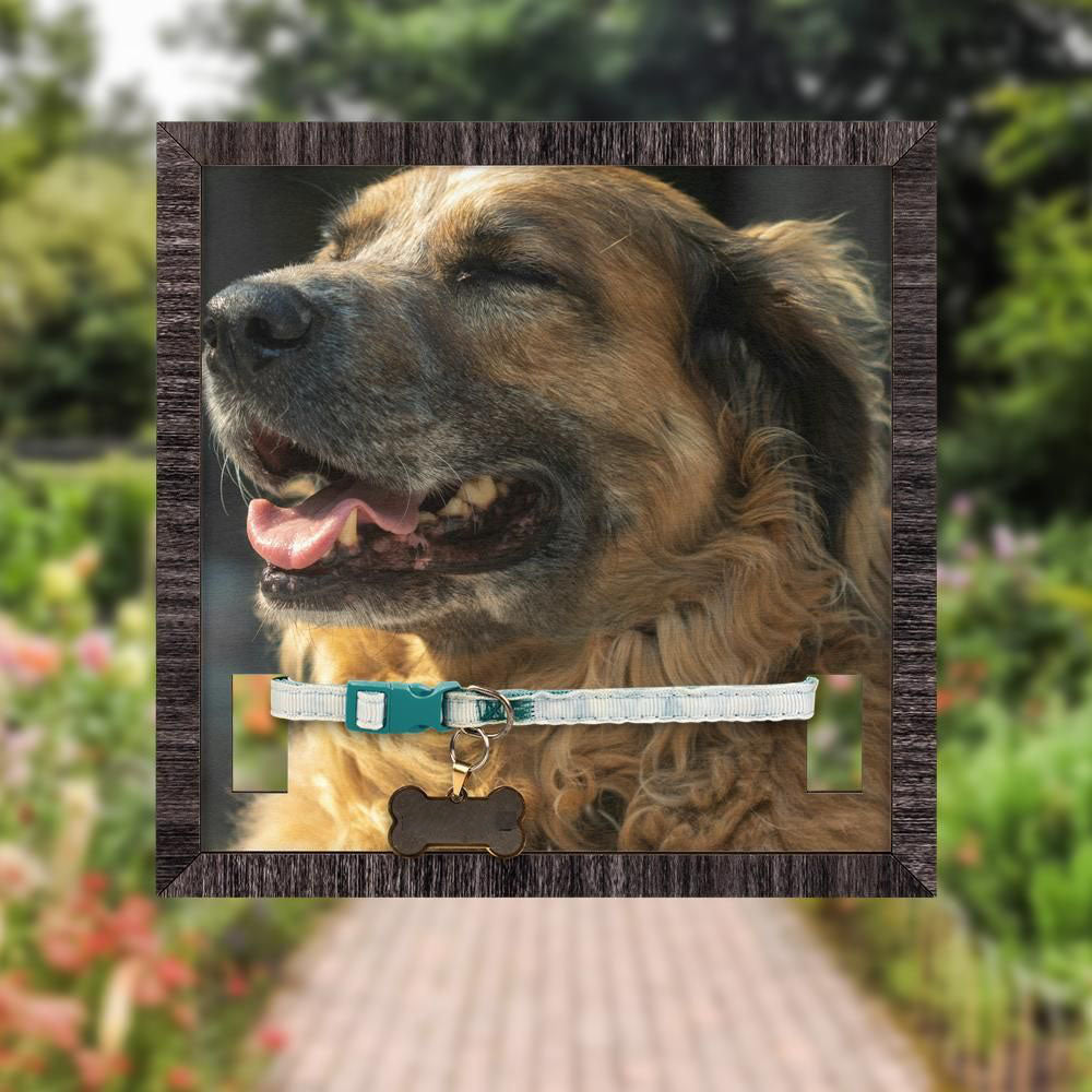 Detail view of The Story Plaque with pet photo, collar and bone-shaped ID tag