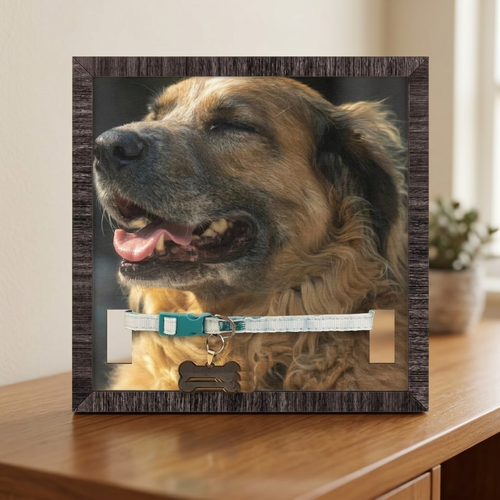 The Story Plaque pet memorial frame displayed on a wood console table in a warm home interior