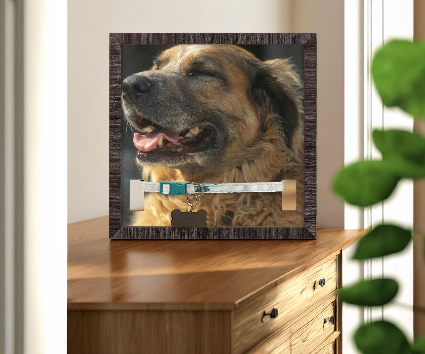 The Story Frame on a wooden dresser, holding a photo of a golden dog above their teal collar and bone-shaped ID tag